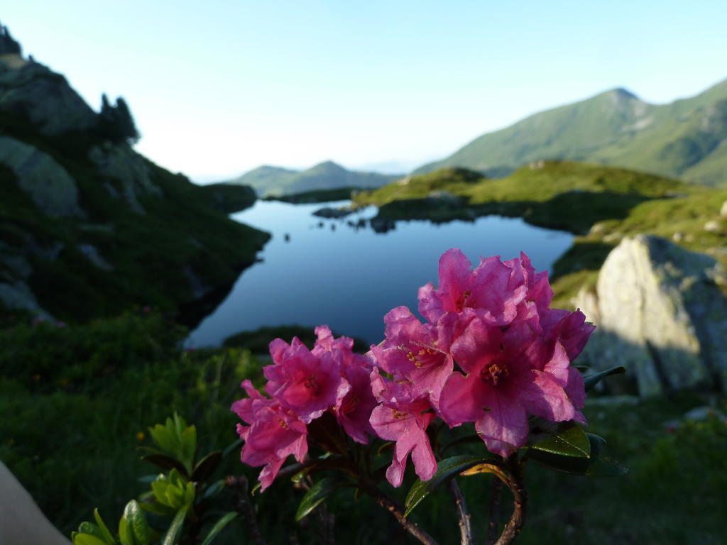 Gaestehaus Gratlspitz Alpbach Zewnętrze zdjęcie